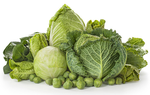 Assortment of Cabbage Varieties