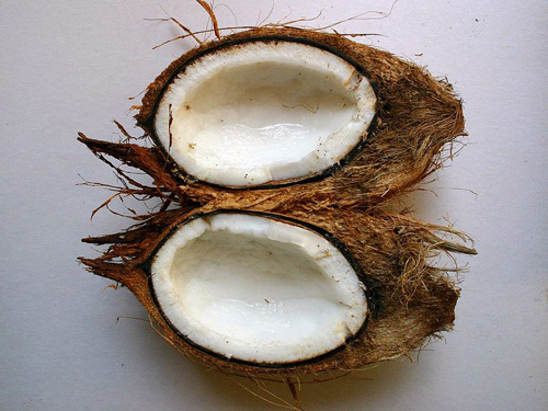 Fresh Coconut Halves