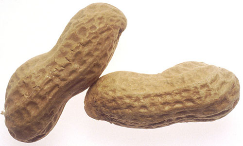 Two Peanuts in the Shell