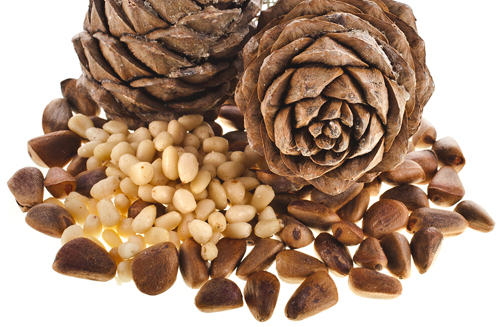 Pine Nuts Shelled and Unshelled
